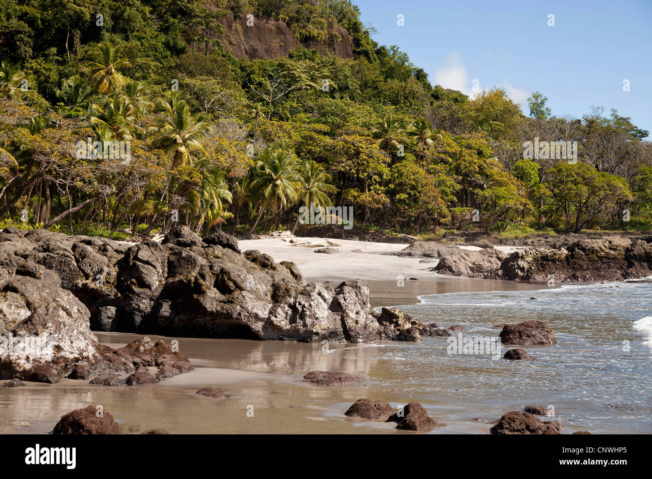 Sandstrand von Ylang Ylang Hotel in der Nähe von Montezuma, Halbinsel Nicoya, Costa Rica, Mittelamerika Stockfoto