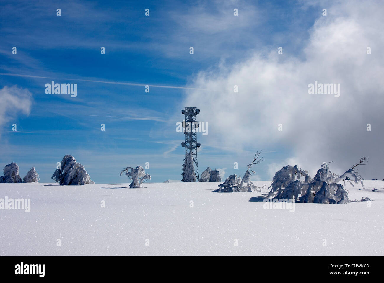 verschneite Ebene mit einzelnen Büschen und Sendemast an der Schwarzwaldhochstrasse, Deutschland, Baden-Württemberg, Schwarzwald, Hornisgrinde Stockfoto