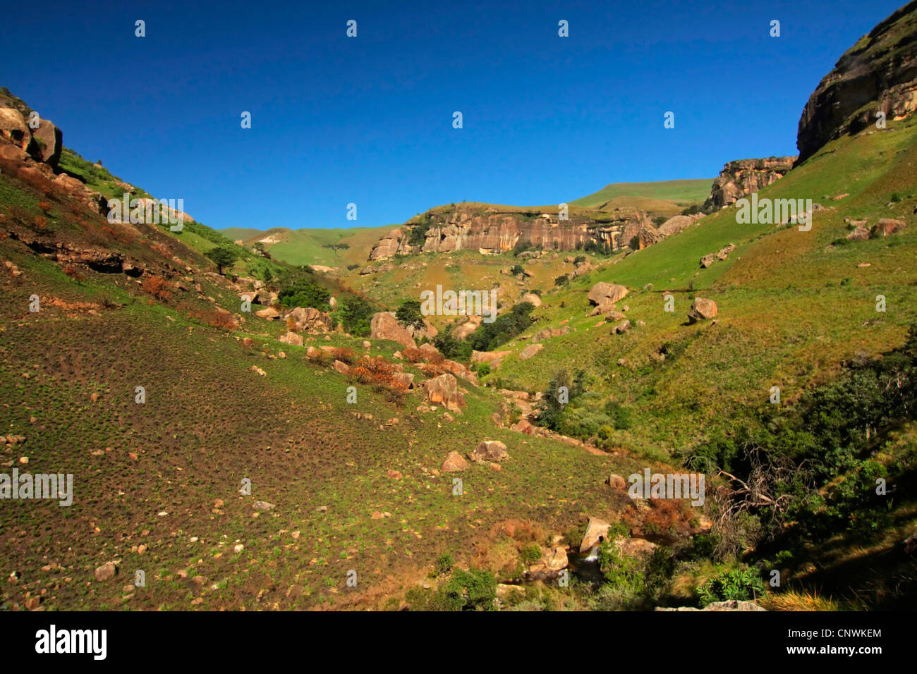 Monks Cowl, Drakensberg, Südafrika, KwaZulu Natal, Ukhahlamba Drakenberg Park Stockfoto
