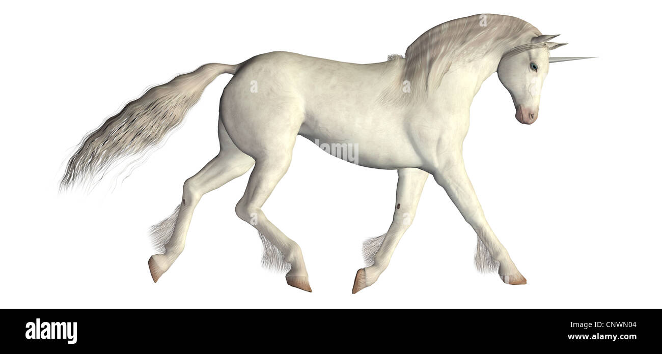 Beispiel für ein weißes Einhorn isoliert auf weißem Hintergrund Stockfoto