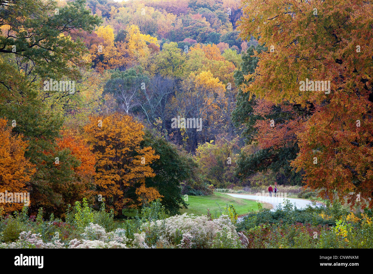 Die Vereinigte Staaten Staatsangehörig-Arboretum Stockfoto