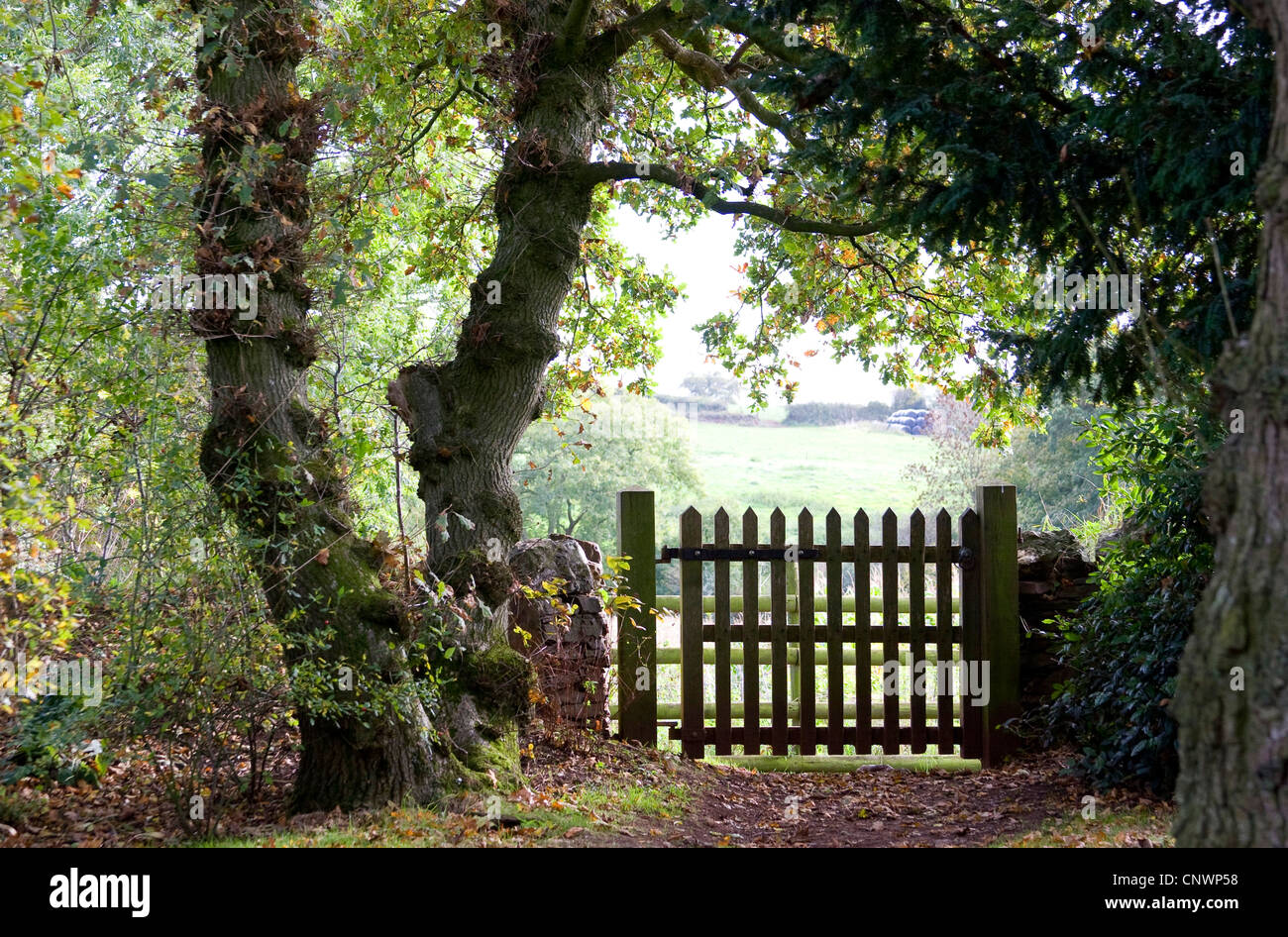 Hestercombe Gärten, United Kingdom, England, Somerset Stockfoto
