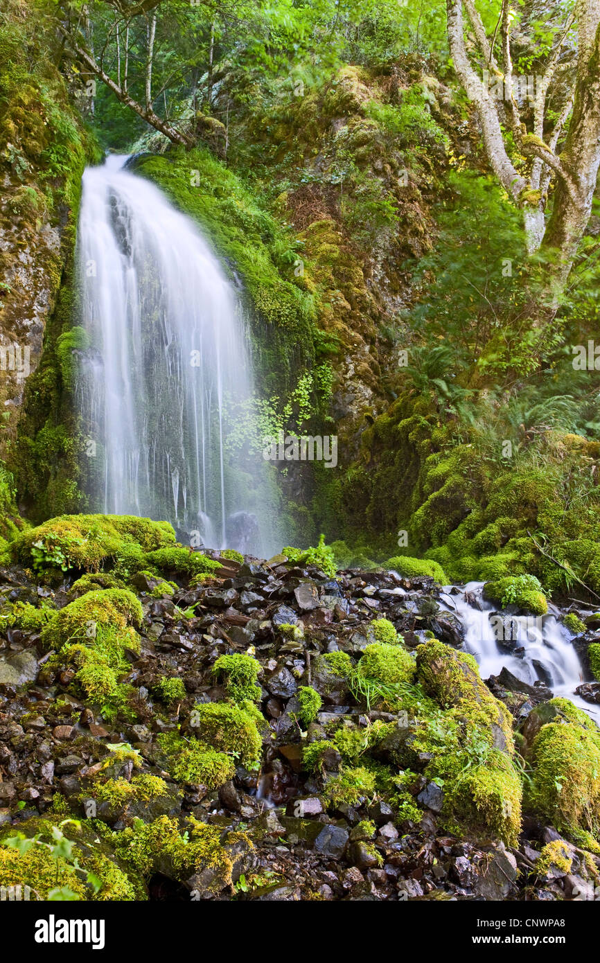 Lancaster Falls Wasserfall in der Columbia River Gorge National Scenic Bereich, Oregon Stockfoto