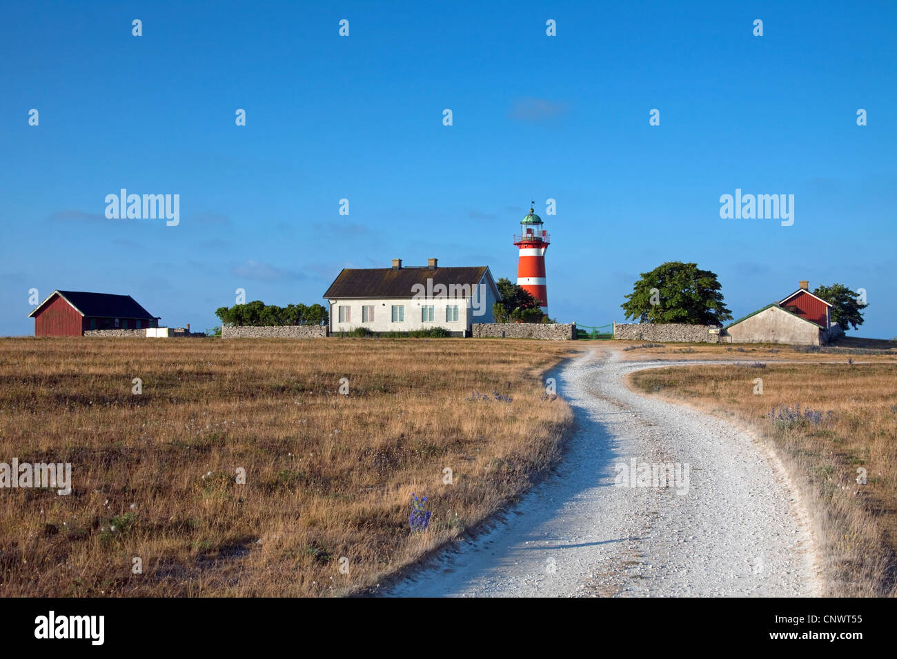 Die rot-weißen Leuchtturm Närs Fyr am Närsholmen auf der Insel Gotland, Schweden Stockfoto
