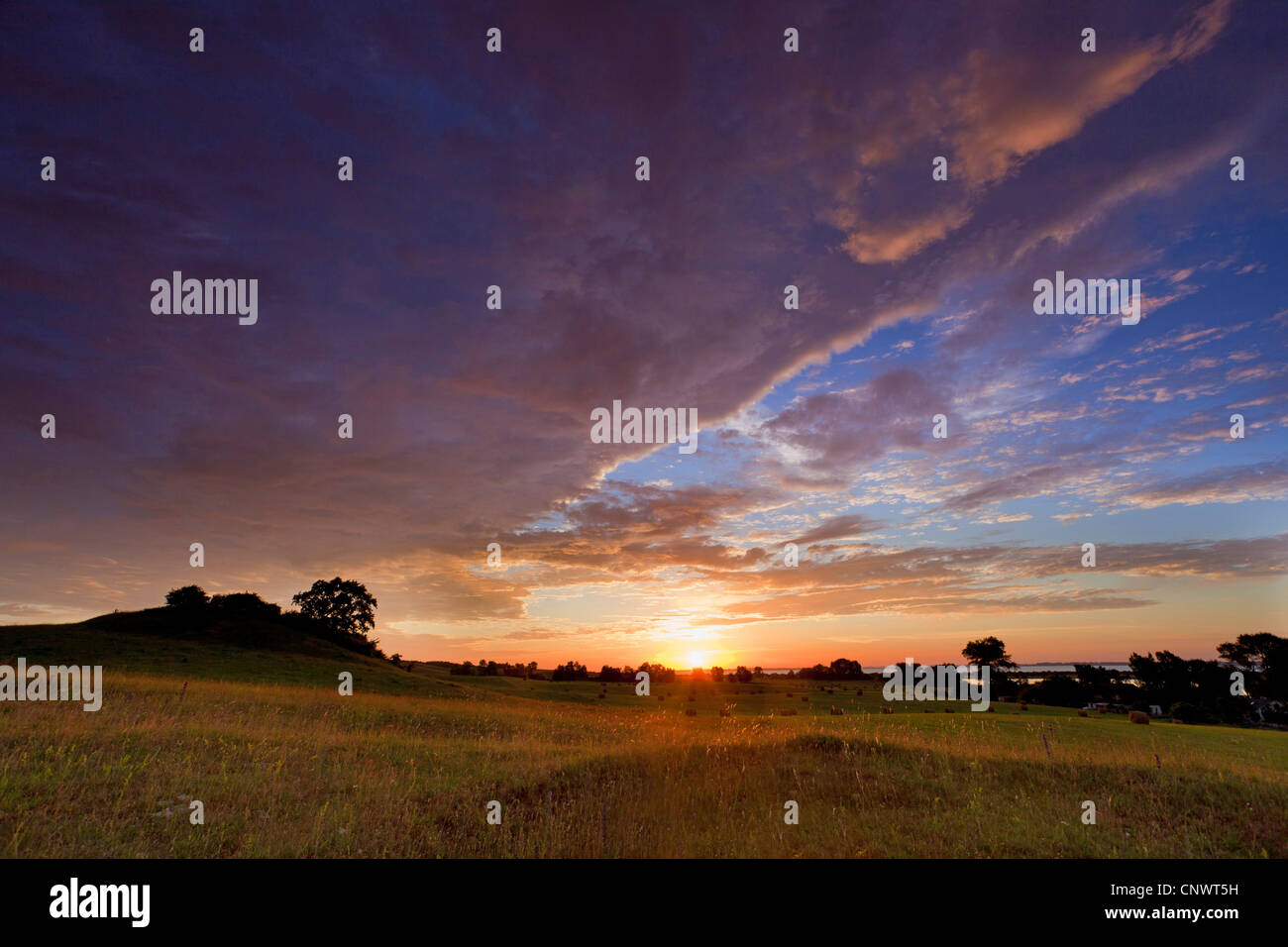 Sonnenaufgang auf Hiddensee Insel, Deutschland, Mecklenburg-Vorpommern, Hiddensee Stockfoto