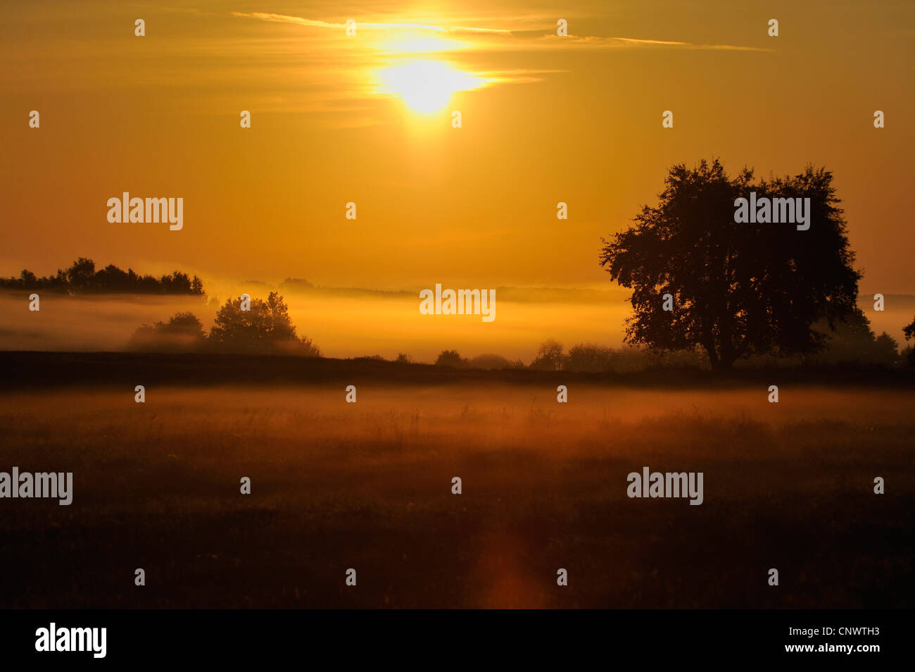 Morgennebel bei Sonnenaufgang in Masuren Landschaft, Polen, Masuren, Gizycko Stockfoto