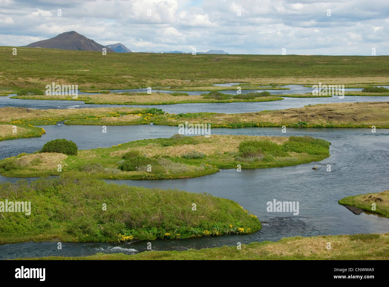 Blick über den Fluss Laxa mit seinen vielen kleinen Inseln in der Nähe der M Vatn (See von Mücken), Island, Myvatn Stockfoto