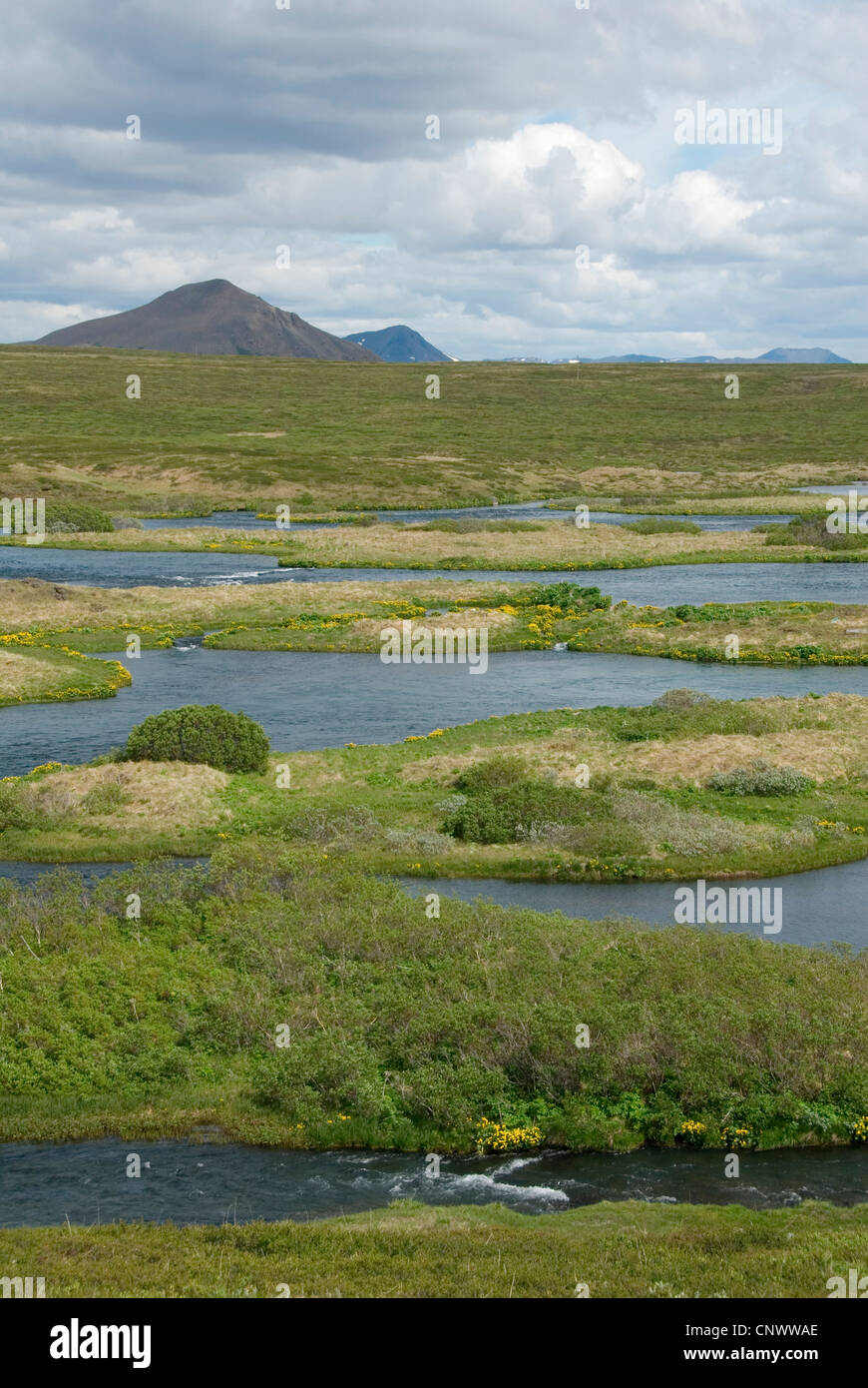 Blick über den Fluss Laxa mit seinen vielen kleinen Inseln in der Nähe der M Vatn (See von Mücken), Island, Myvatn Stockfoto