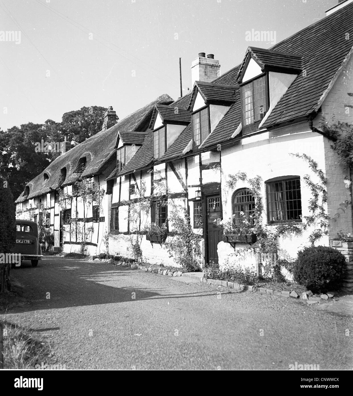 Geschichtsbild aus den 1950er Jahren, zeigen eine Reihe von Hütten in Shottery in der Nähe von Stratford, Geburtsort von William Shakespeare. Stockfoto
