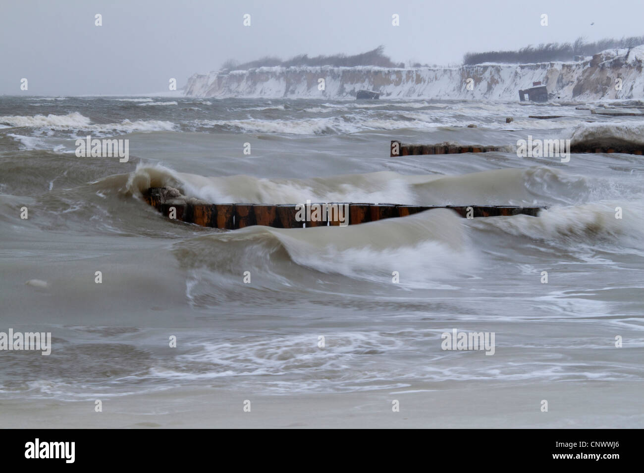 kalten Wintersturm an der Ostsee mit Sporn Deiche, Deutschland, Mecklenburg-Vorpommern, Wustrow, Darß Stockfoto