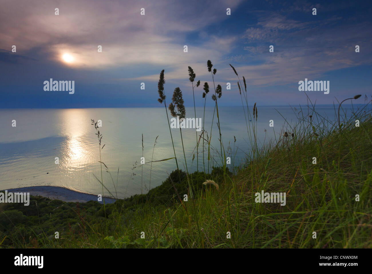 Grass Ohren vor Sonnenuntergang über dem Meer, Deutschland, Mecklenburg-Vorpommern, Hiddensee Stockfoto