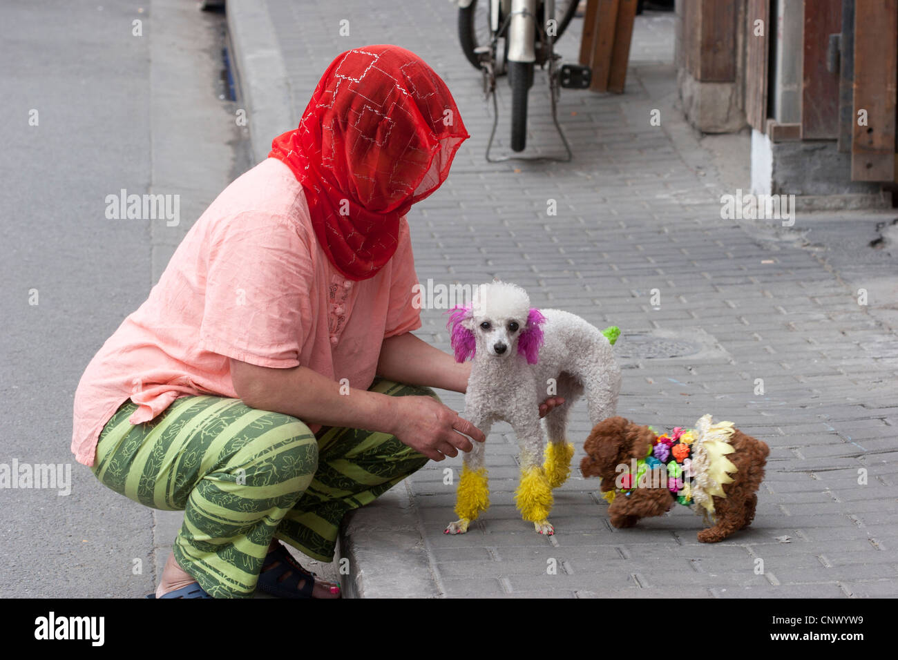 Eine Frau mit zwei bunten Hunde zum Verkauf, Shanghai, China. Stockfoto