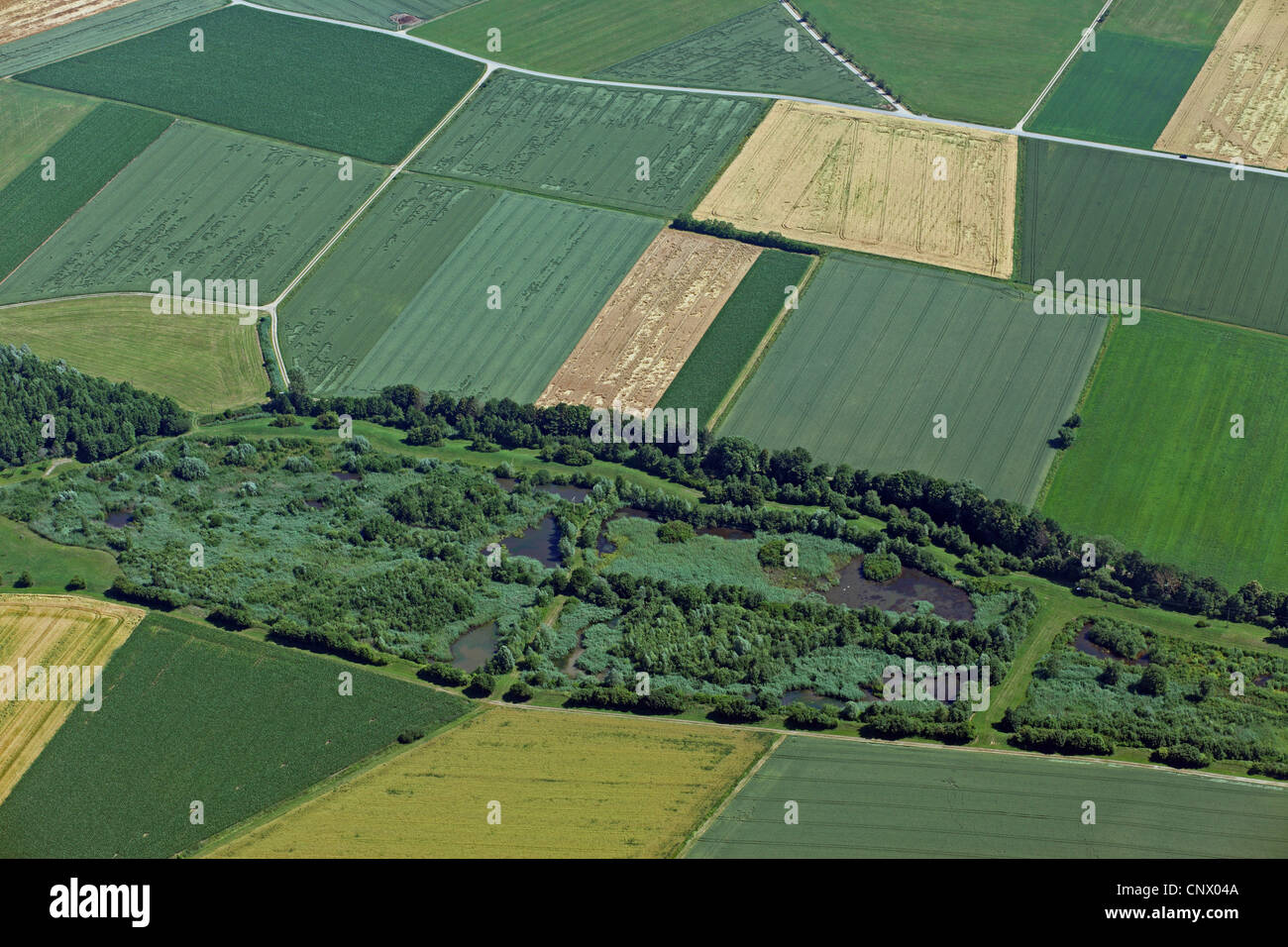 Teiche und moore Fotos und Bildmaterial in hoher Auflösung Alamy