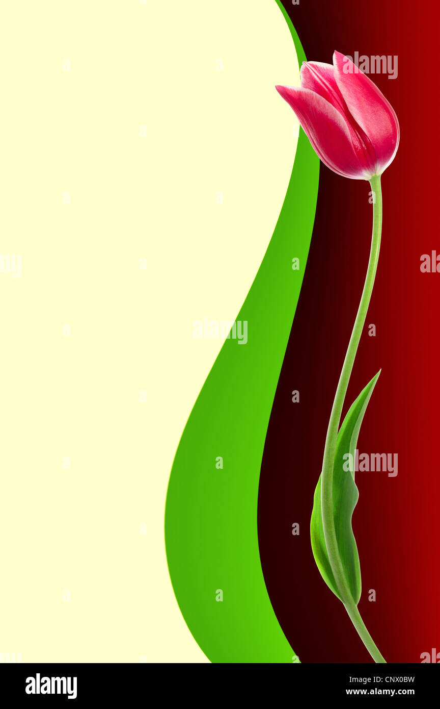 Illustration für die Einladung oder eine Glückwunsch Karte mit textfreiraum für Ihren text Stockfoto