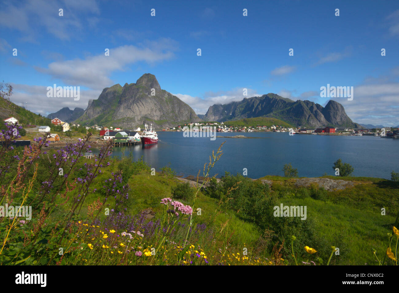 Reine in Reine Fjord, Norwegen, Lofoten-Inseln, Moskenesy, Reine Stockfoto
