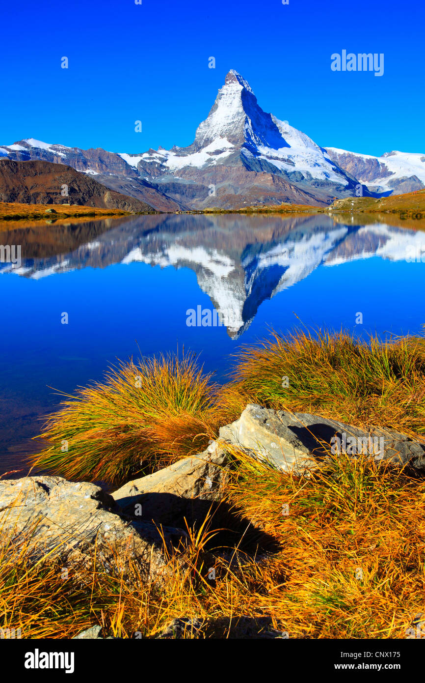 Blick vom Bergsee am Matterhorn unter blauem Himmel, Schweiz, Wallis Stockfoto