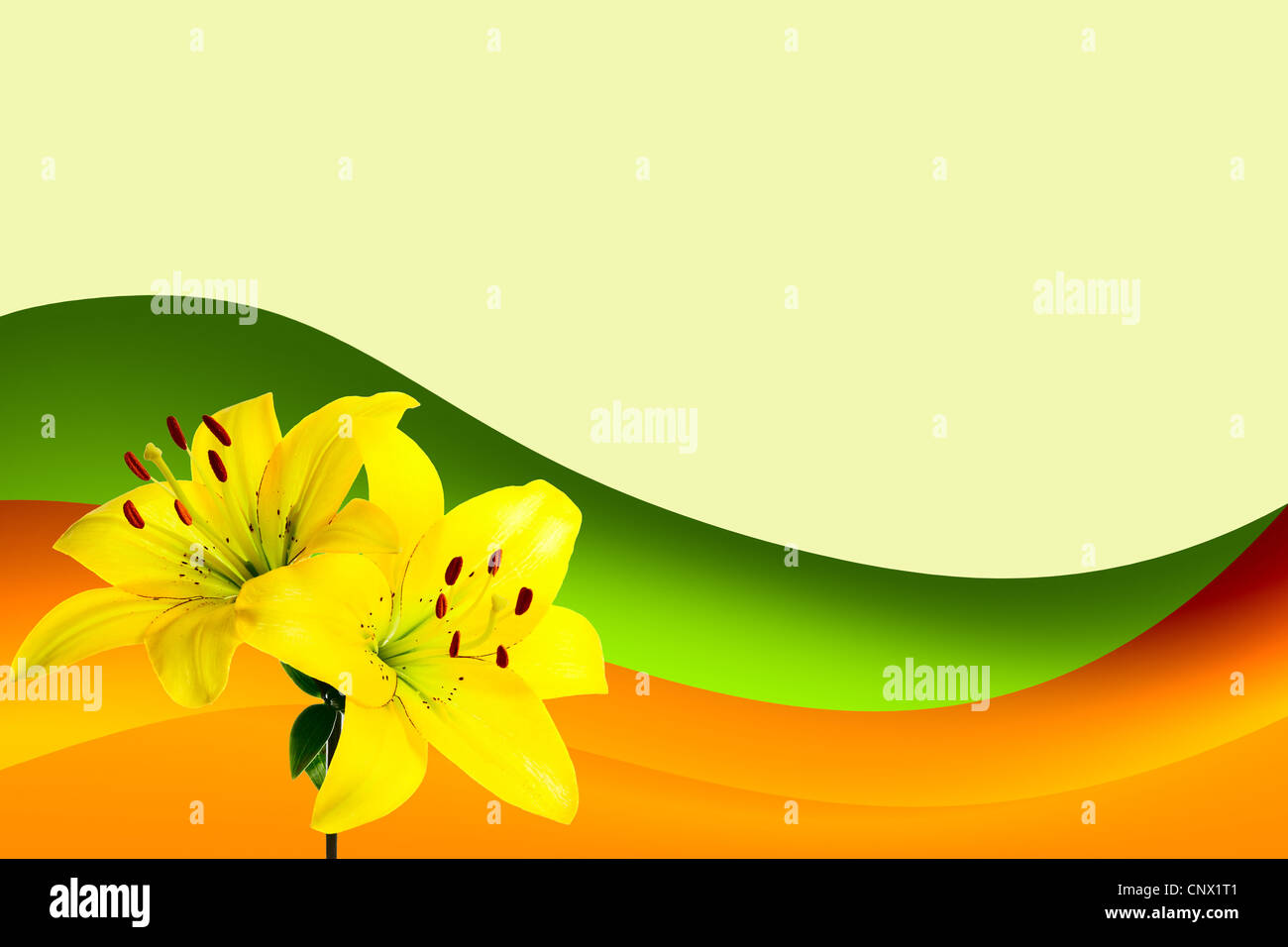 Illustration für die Einladung oder eine Glückwunsch Karte mit textfreiraum für Ihren text Stockfoto