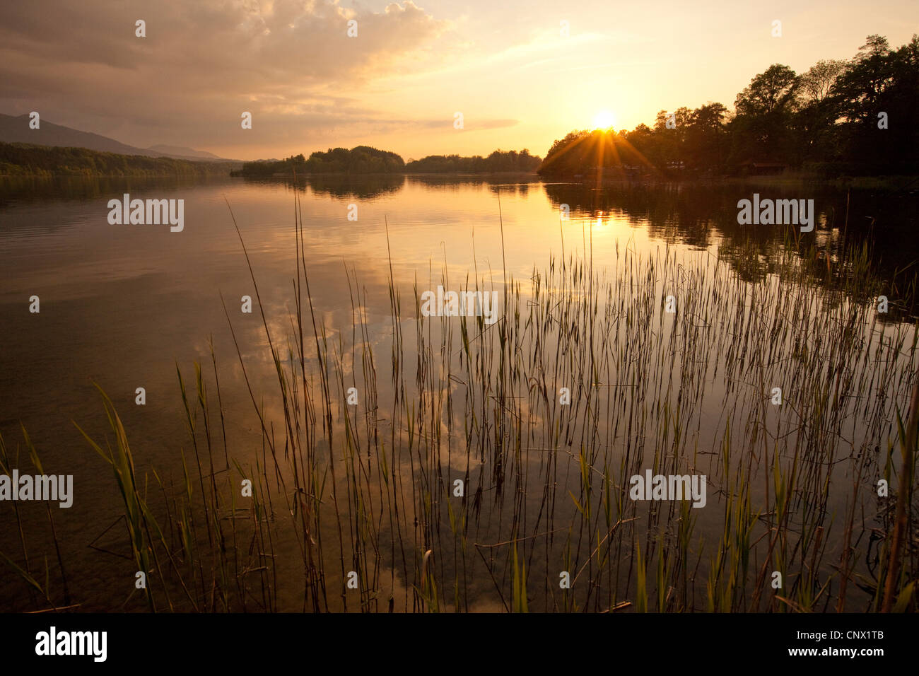 See-Staffelsee, Ansicht von Westen am See bei Sonnenuntergang, Deutschland, Bayern, Staffelsee Stockfoto