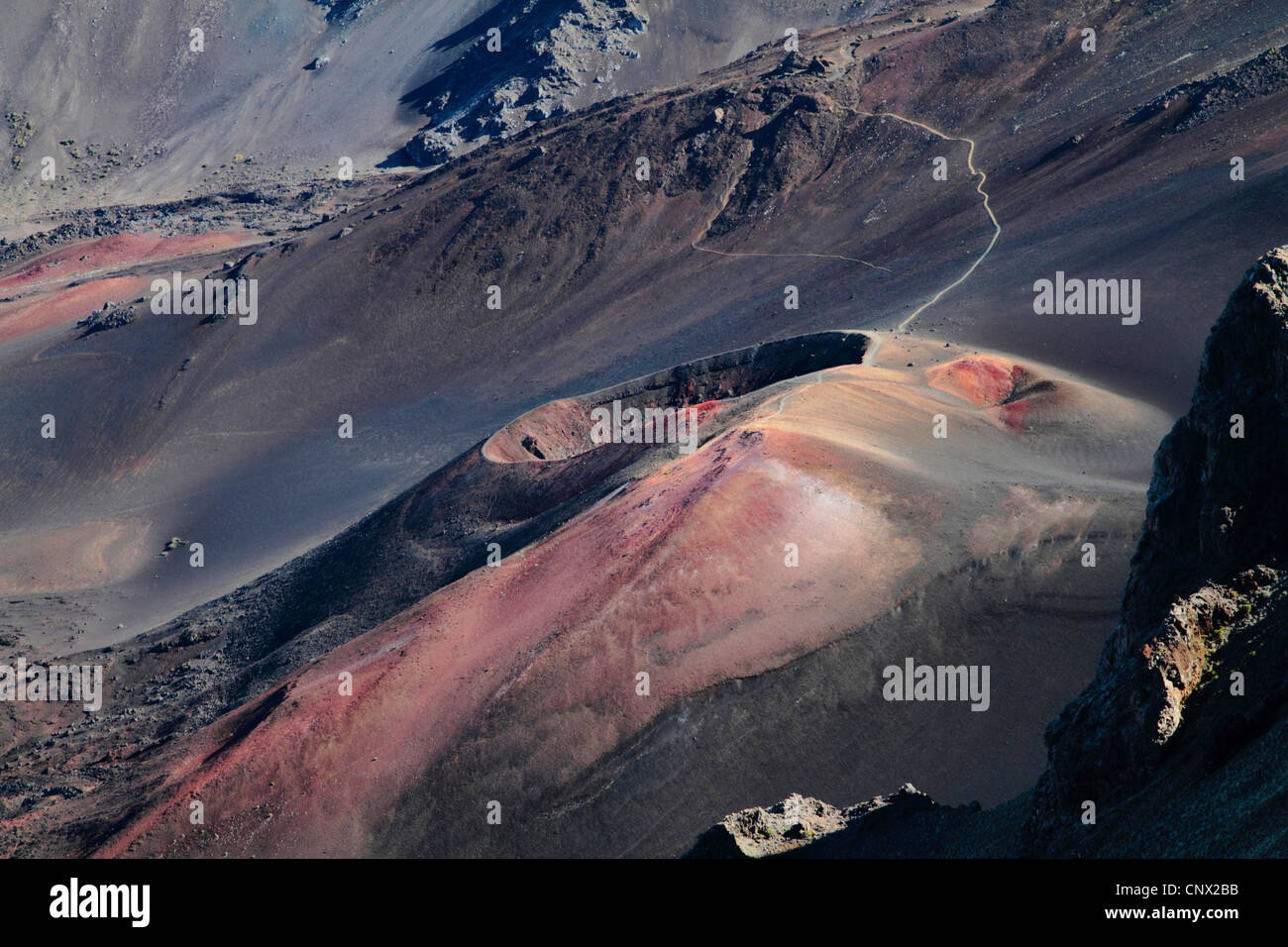 Vulkankegel im Krater des Haleakala, USA, Hawaii, Maui Stockfoto