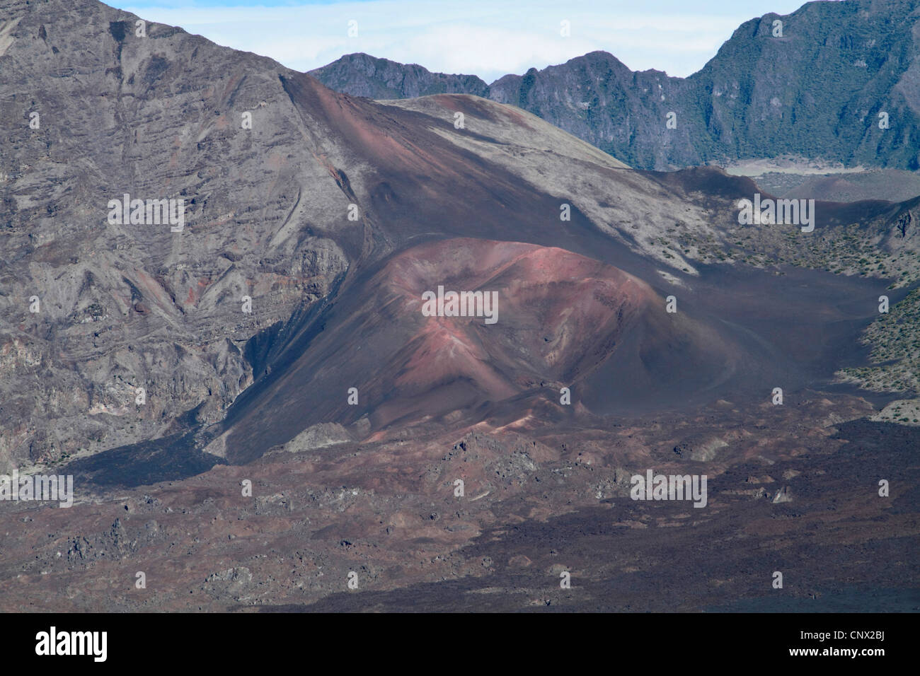Vulkankegel im Krater des Haleakala, USA, Hawaii, Maui Stockfoto
