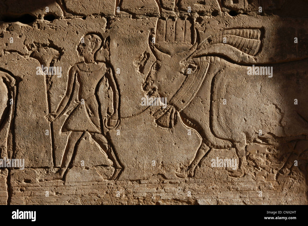 Ägyptische Bauern. Medinet Habu. Leichenhalle Tempel von Ramses III in der thebanischen Nekropole in der Nähe von Luxor, Ägypten. Stockfoto
