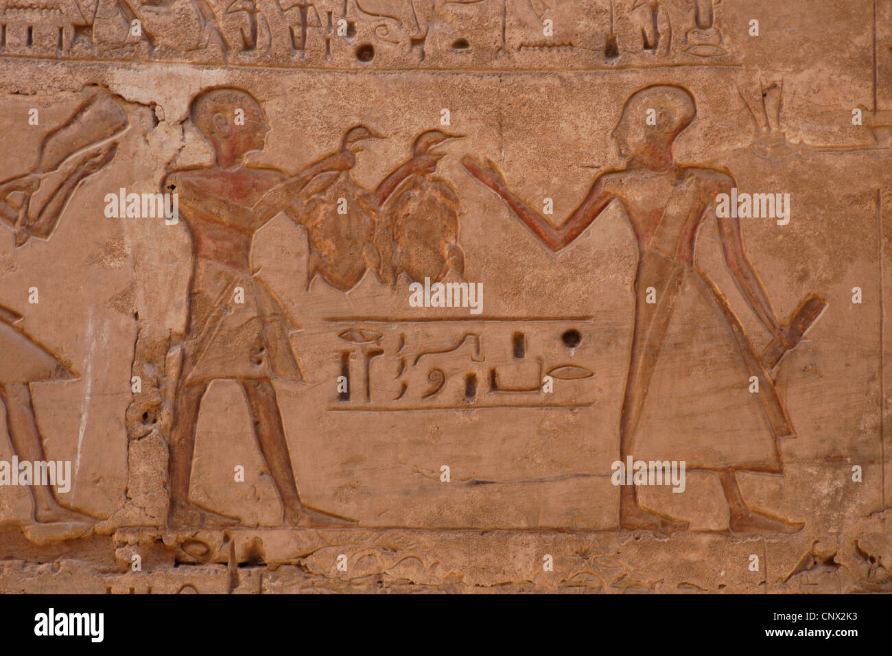 Slave mit Enten. Medinet Habu. Leichenhalle Tempel von Ramses III in der thebanischen Nekropole in der Nähe von Luxor, Ägypten. Stockfoto