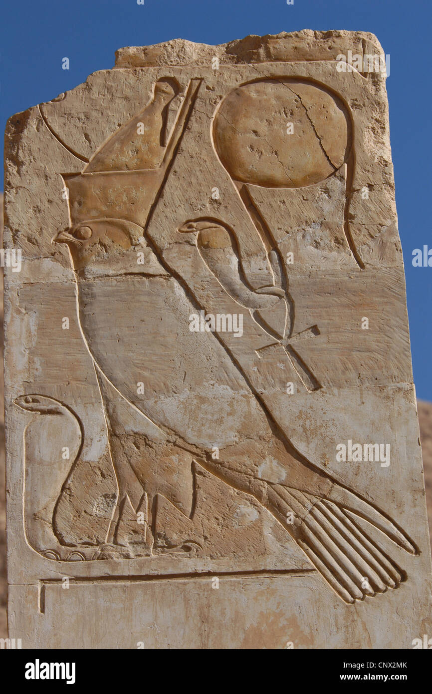 Alte ägyptische Gott Horus. Relief in der Leichenhalle Tempel der Königin Hatshepsut in Deir el-Bahari in der Nähe von Luxor, Ägypten. Stockfoto