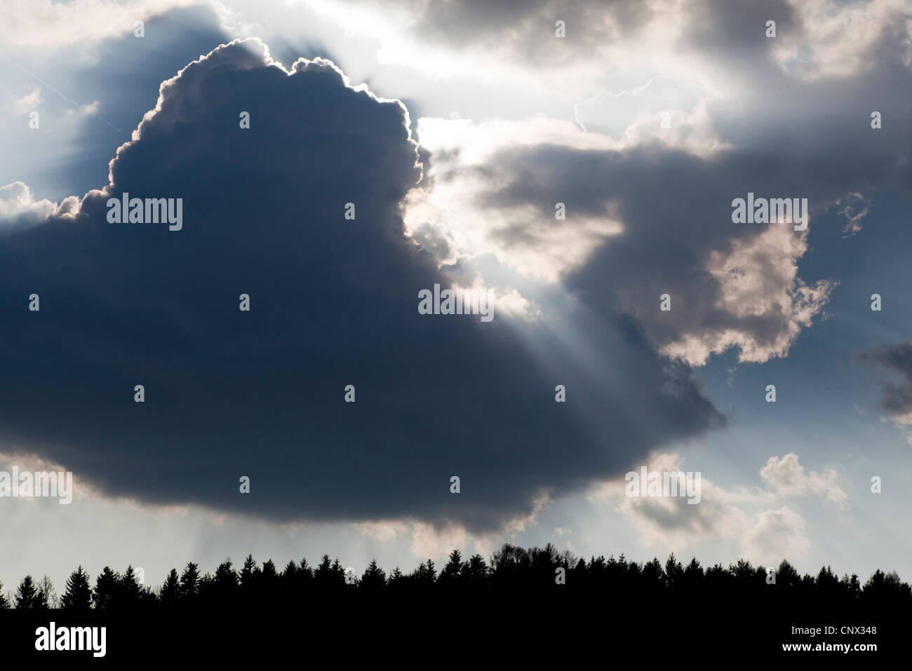 dunkle Wolken über einem Wald, Österreich Stockfoto