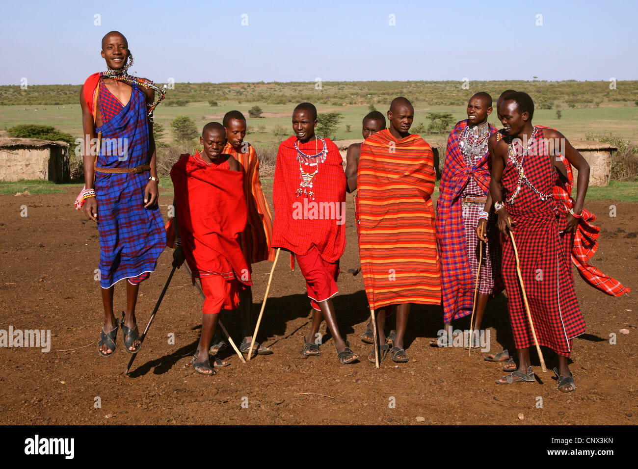 Masai Männer, die einen traditionellen Tanz, Kenia, Masai Mara Nationalpark Stockfoto