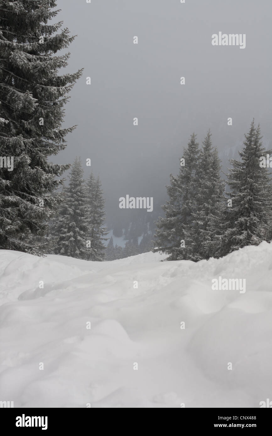 Spuren im Schnee im Winter in den Alpen Stockfoto