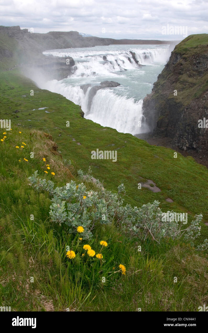 Wasserfall Gullfoss, am Fluss Hvita, Island Stockfoto