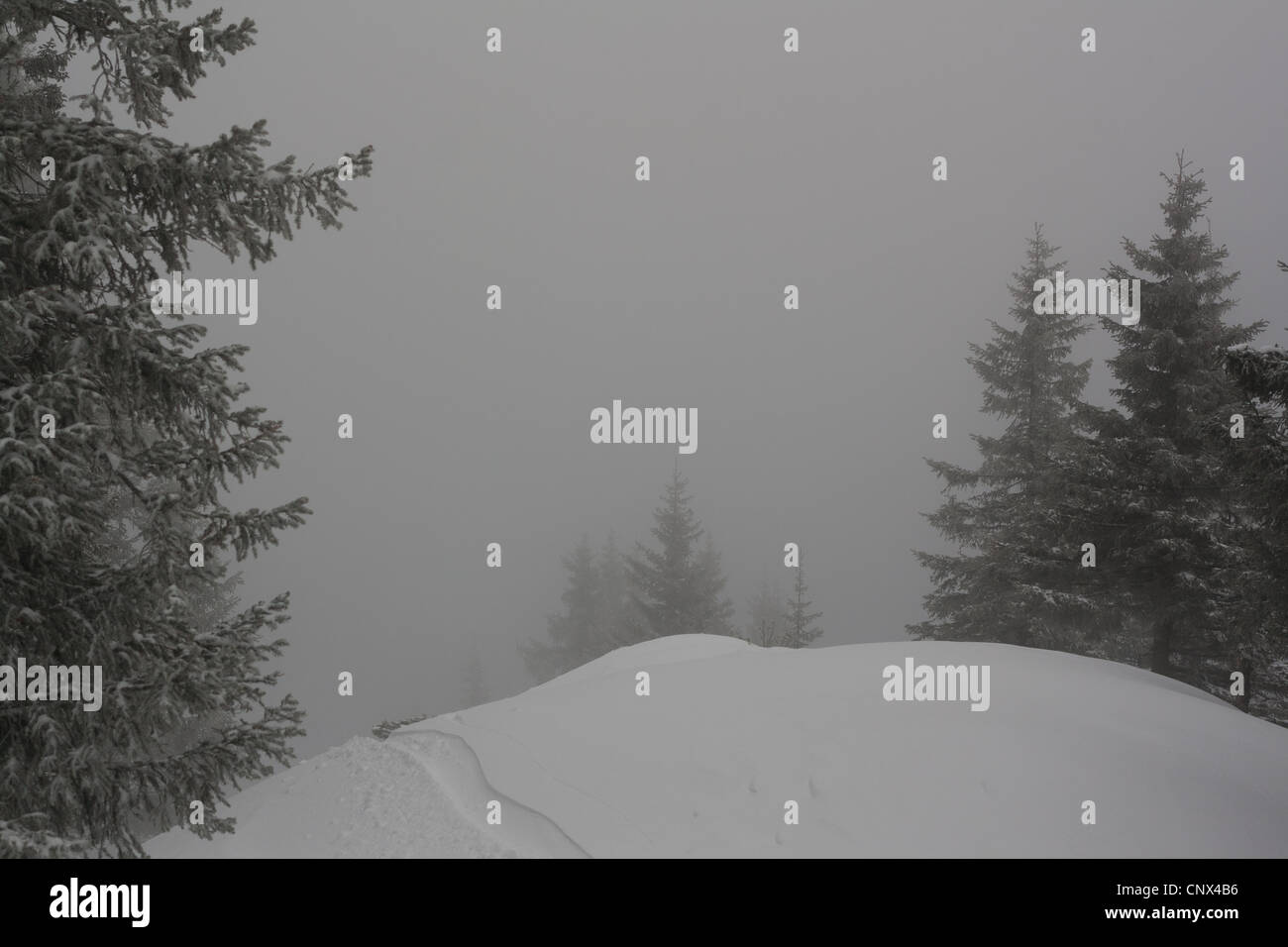 Spur im Schnee im Winter in den Alpen Stockfoto