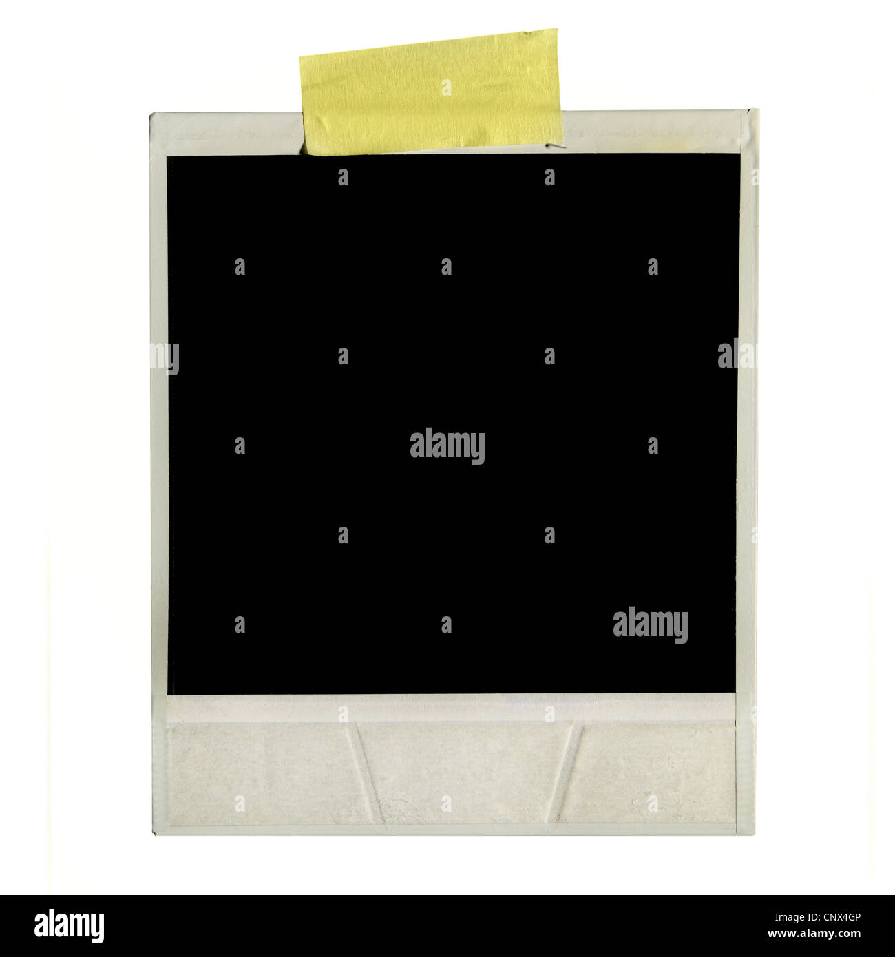 Foto schließen-Uo isoliert auf weißem Hintergrund Stockfoto