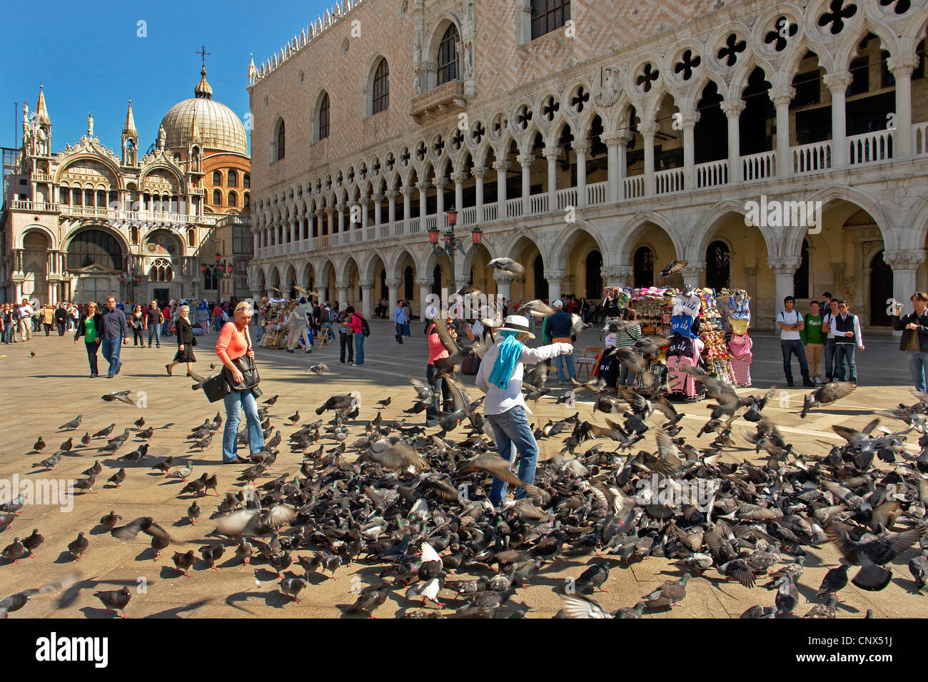 Fütterung von Tauben auf dem Markusplatz vor der Dogen Palast, Italien, Venedig Stockfoto