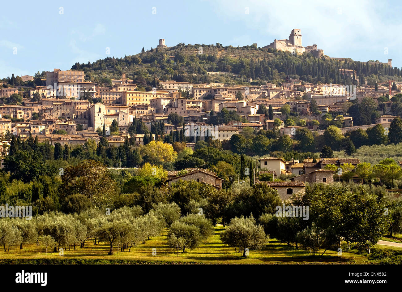 Blick auf die historische alte Stadt Assisi, Italien, Umbrien, Assisi Stockfoto