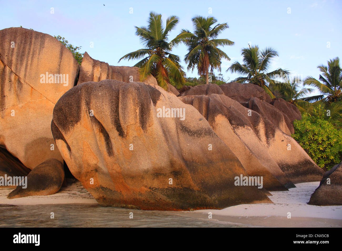 Granit-Bildung am Strand Anse Grande Source, Seychellen, La Digue Stockfoto