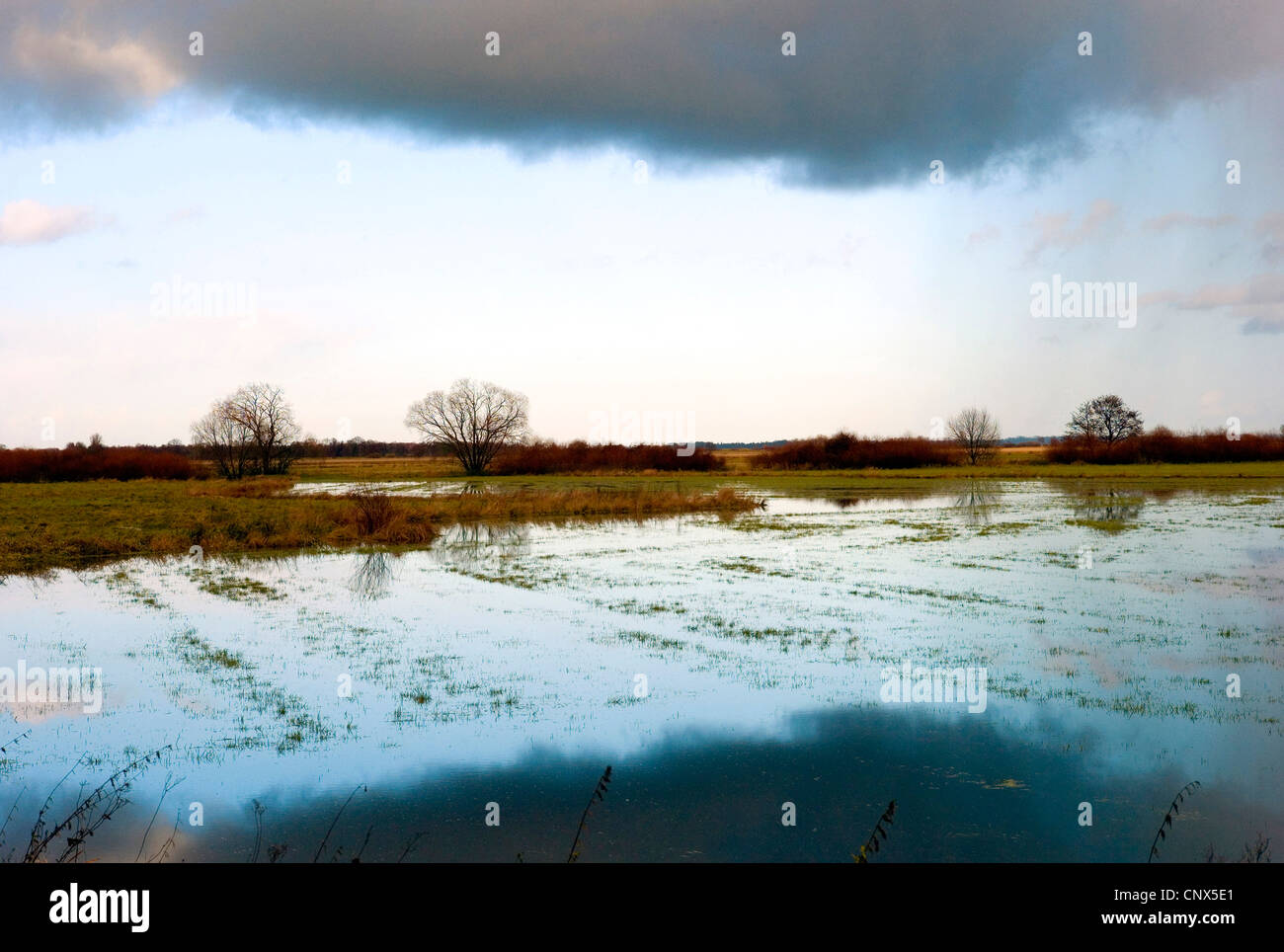 überschwemmte Wiesen Ufer des Flusses Hamme, Deutschland, Niedersachsen, Osterholz Stockfoto