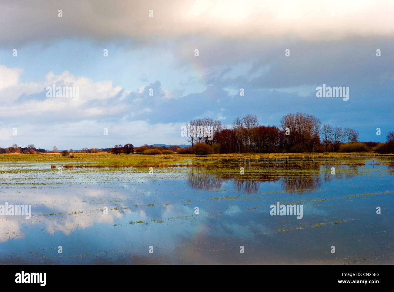 überschwemmte Wiesen Ufer des Flusses Hamme mit der Weyerberg im Hintergrund, Deutschland, Niedersachsen, Osterholz Stockfoto