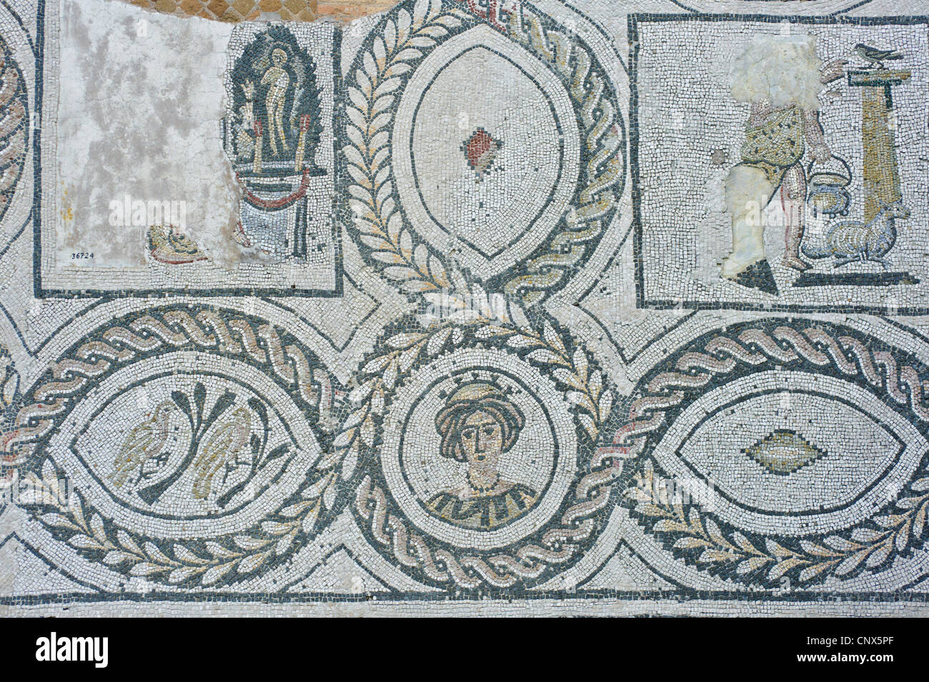 Hafenstadt Des Alten Roms 5 Buchstaben Kreuzworträtsel Mosaiken in Ostia Antica, die alte Hafenstadt des antiken Roms