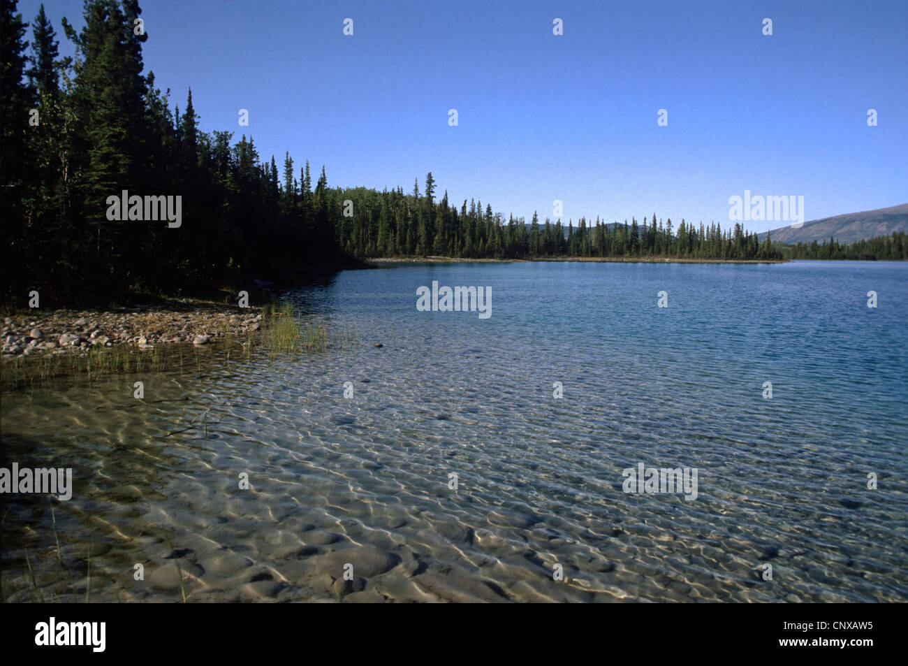 Kristallklare Wasser des Boya Lake im Norden von British Columbia Stockfoto
