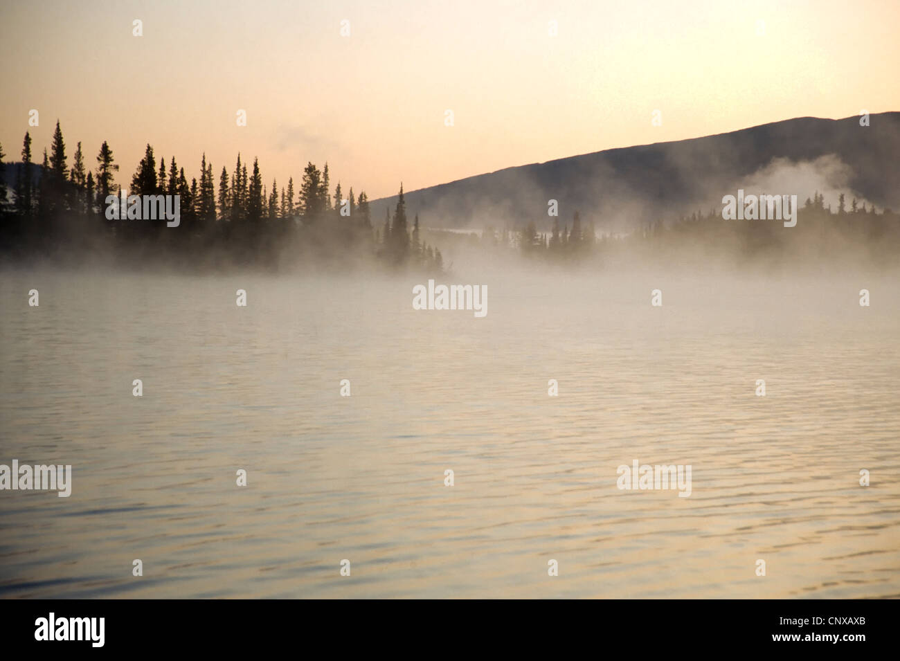 Morgennebel auf Boya Lake im Norden von British Columbia Stockfoto