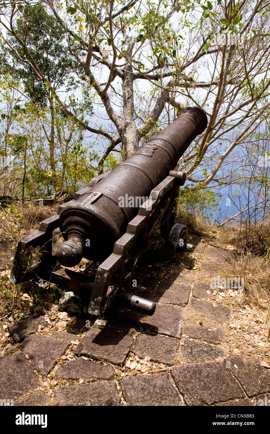 Kanone in der Herrschaft von George III auf der Batterie der westlichen Landzunge von Cabrits Nationalpark Dominica geschmiedet Stockfoto