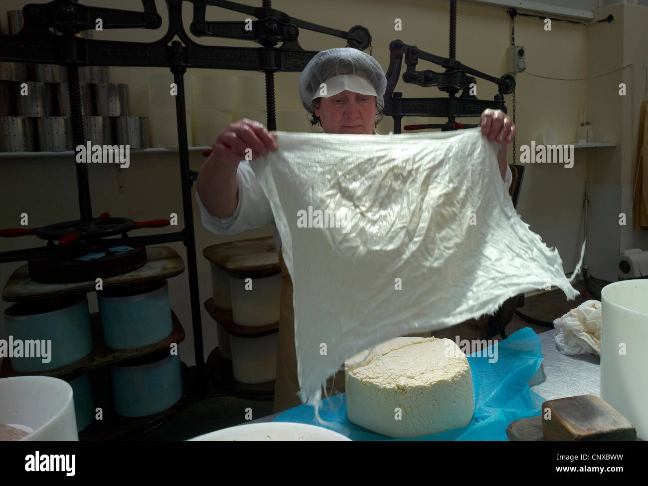 Die geschnittene Blöcke der Käsebruch stammen in Runde Formen auf Curworthy Farm Käser Devon England gepackt werden Stockfoto