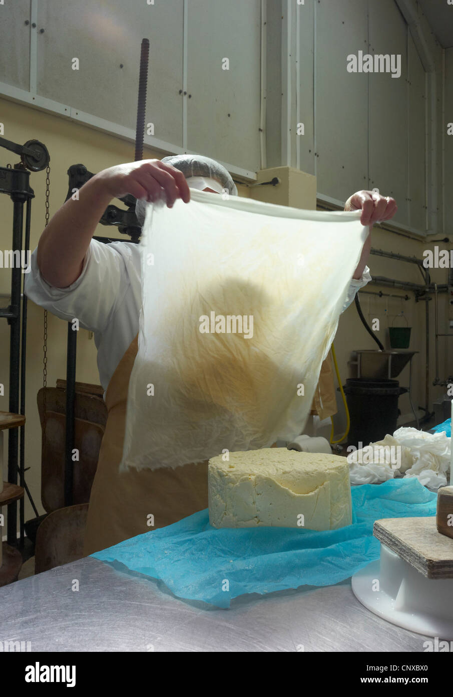 Käse machen bei Curworthy Farm Devon - Umhüllung Quark vor dem Verlassen der Käses reift Stockfoto