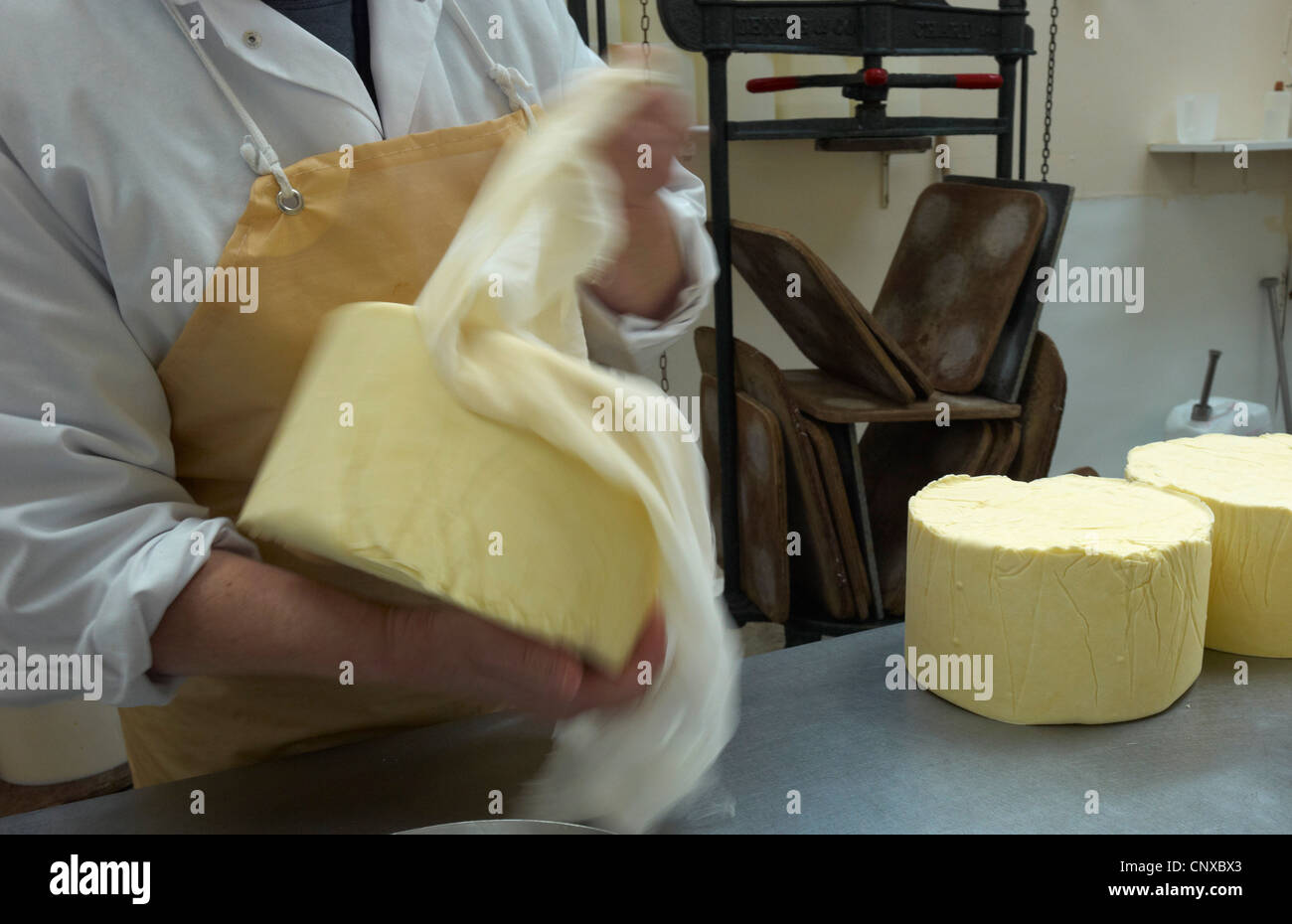 Käseherstellung auf Curworthy Farm Devon - un - Tuch einwickeln, vor dem Verlassen des Käses reift Stockfoto