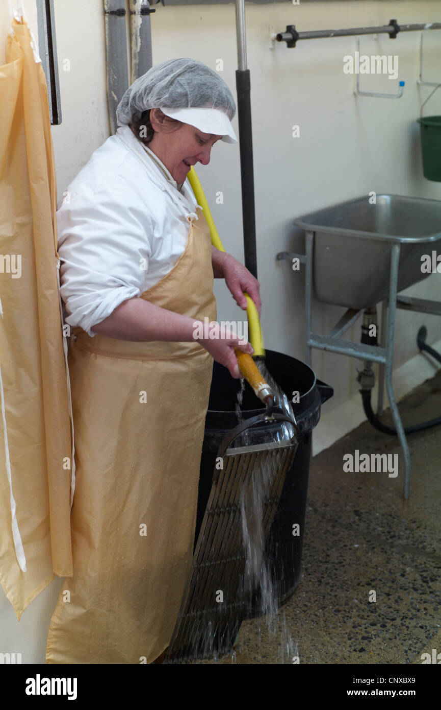 Käse machen bei Curworthy Farm Devon - Reinigung des Quark-Fräsers nach Gebrauch Stockfoto