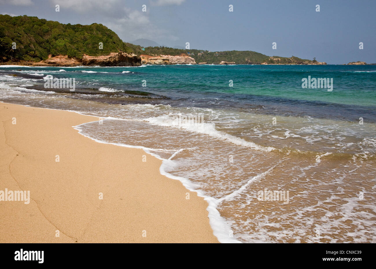 Sandstrand in Woodford Hill Bay an der Ostküste der Westindischen Inseln Dominica Stockfoto