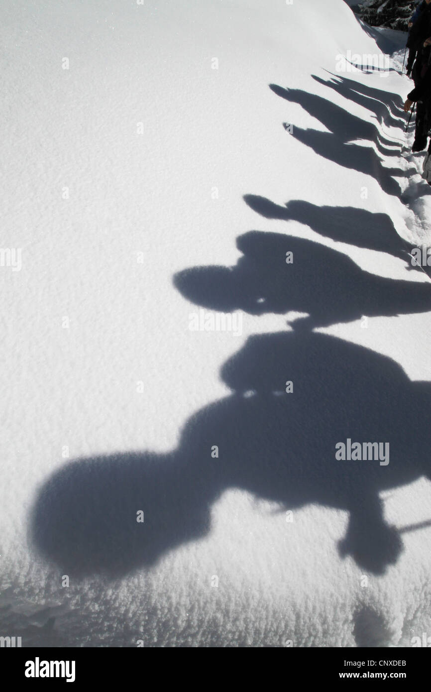 Schatten der Wanderer gegen eine Decke aus Schnee Stockfoto
