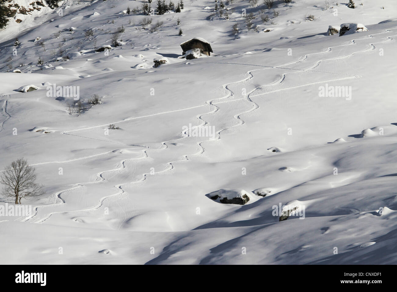 Kurvige Ski verfolgt bergab Stockfoto