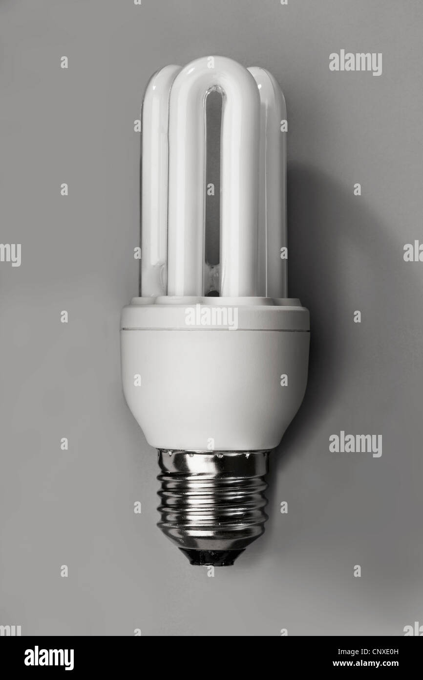Eine Energie-effiziente Glühbirne Stockfoto